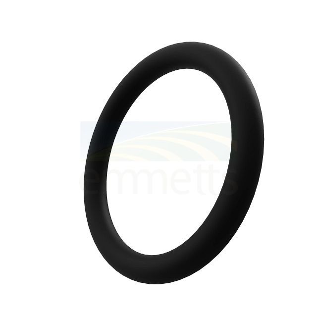 O-Ring T13119
