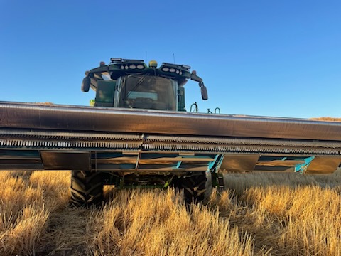 Shelbourne CVS32 2003 image 8