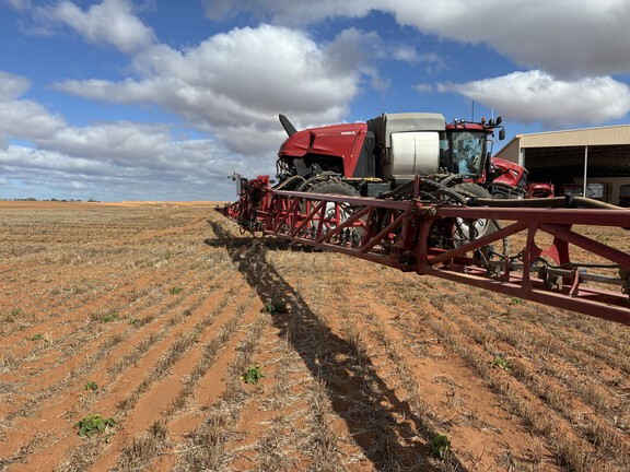 Case IH 4450 Patriot 2023 image 23